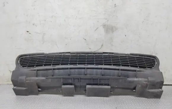 Mercedes-Benz A W169 Front bumper lower grill A1698850023