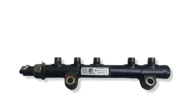 Citroen C4 II Picasso Fuel main line pipe 9685297580