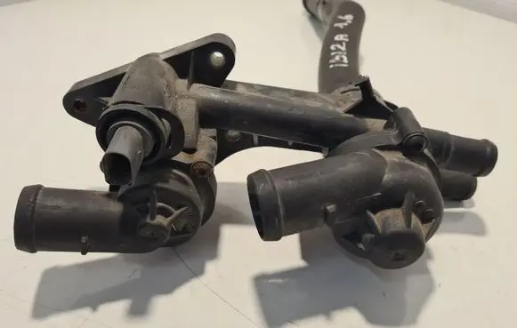 Thermostat/thermostat housing