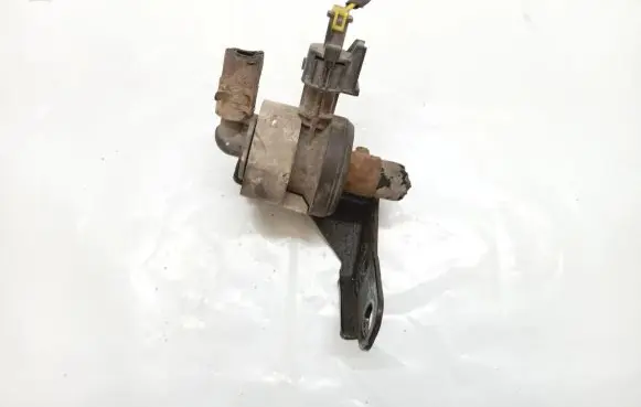 Hyundai i20 (PB PBT) Vacuum valve 29010-03000
