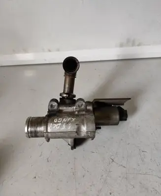 Renault Kangoo I EGR valve 8200253725 028655 255366