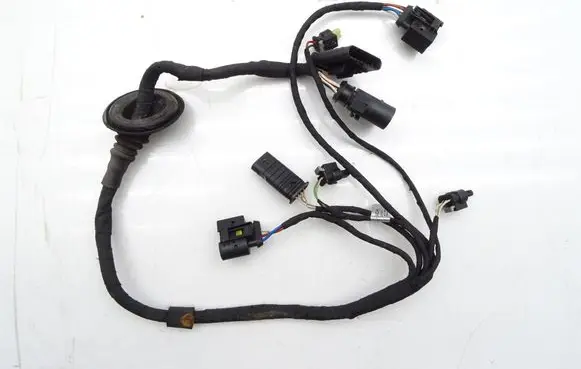Front door wiring loom