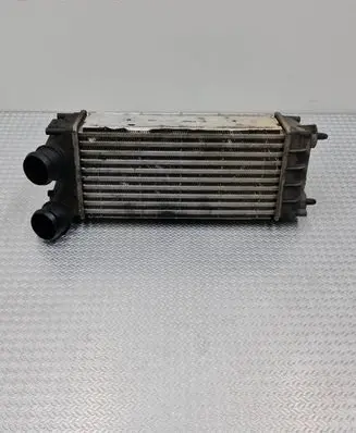 Citroen DS4 Intercooler radiator M144105 9684212480 TA2001