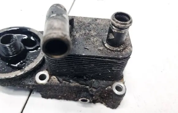 Ford Focus Engine oil radiator 