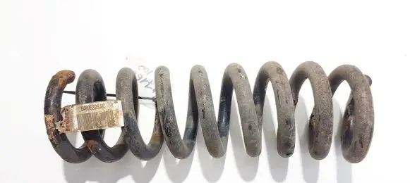 Dodge Magnum Rear coil spring 04895325ac