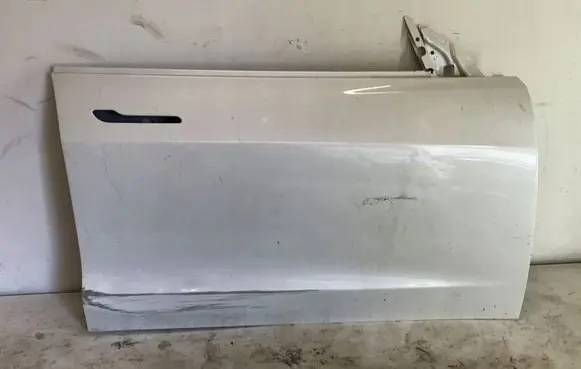 Tesla Model 3 Rear door