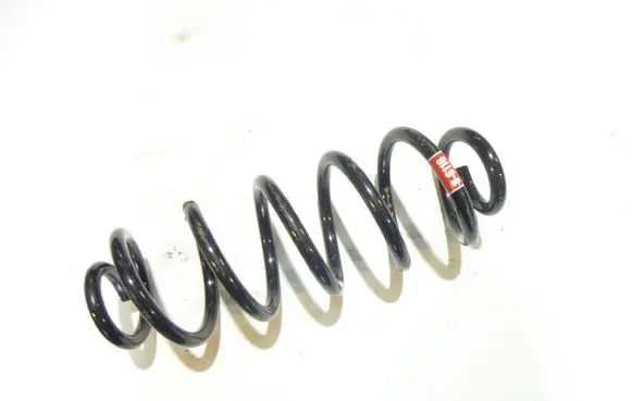 Rear coil spring
