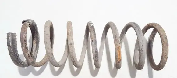 Rear coil spring