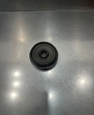 Suzuki Grand Vitara II Rear door speaker 3910265J30