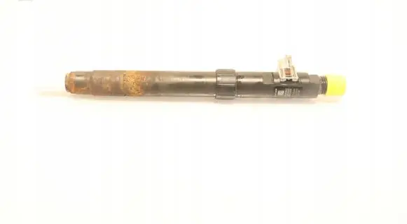Ford Mondeo MK V Fuel injector EMBR00101D