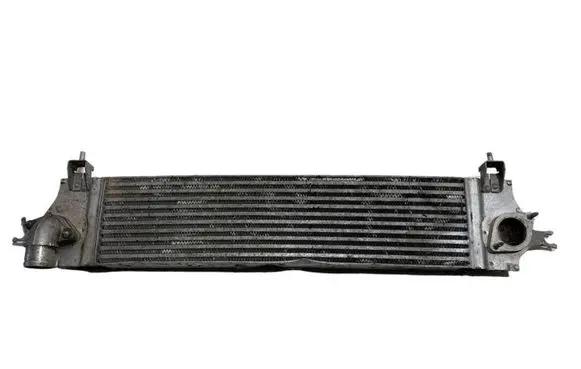 Nissan Qashqai Intercooler radiator G3062008