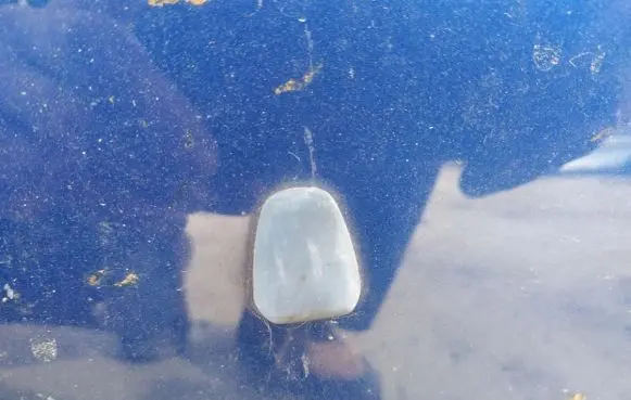 Volvo S40 Windshield washer spray nozzle 