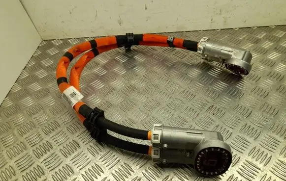 Mercedes-Benz EQE v295 Other wiring loom A2955402814