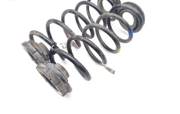 Rear coil spring
