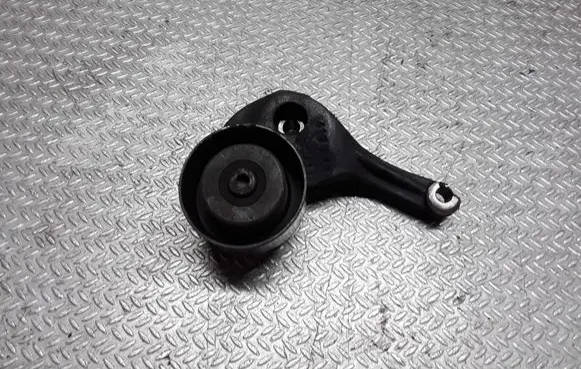 Peugeot 307 Alternator belt tensioner pulley 