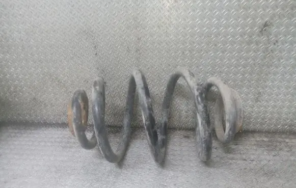 Skoda Octavia Mk1 (1U) Rear coil spring