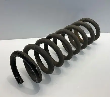 Rear coil spring