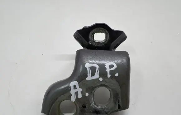 Renault Captur II Front door lower hinge 