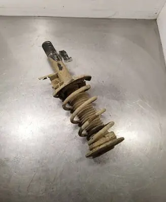 Front shock absorber with coil spring