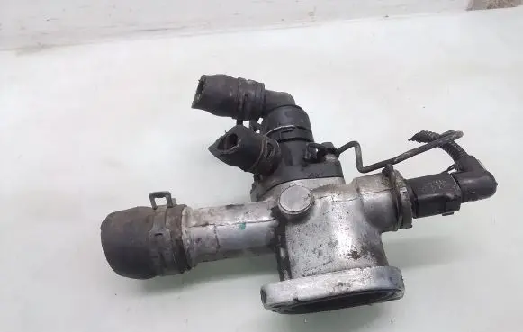 Thermostat/thermostat housing