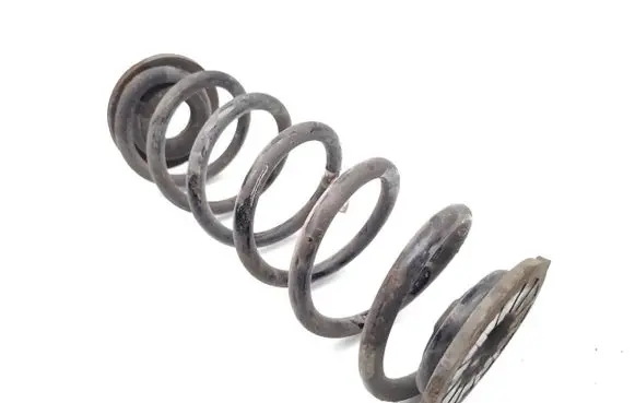 Rear coil spring