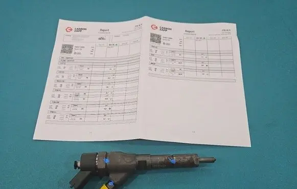 Peugeot Partner Fuel injector 0445110008 IMPRK1523390