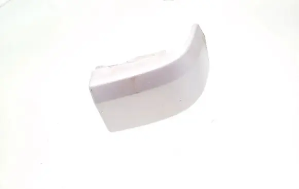 Rear/tail light trim molding