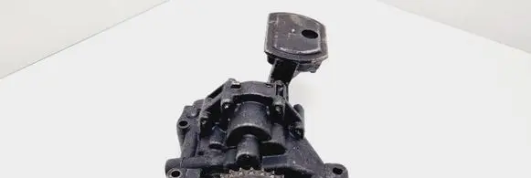 Peugeot 407 Oil pump 9644350880 8431291021