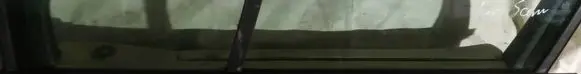 Renault Scenic II - Grand scenic II Front door glass trim molding 