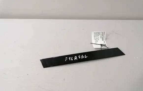 BMW X6 F16 Rear door glass trim molding 7317804
