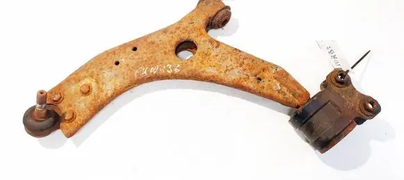 Front lower control arm/wishbone