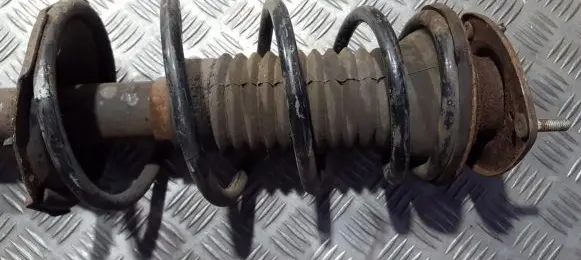 Toyota Yaris Verso Front coil spring