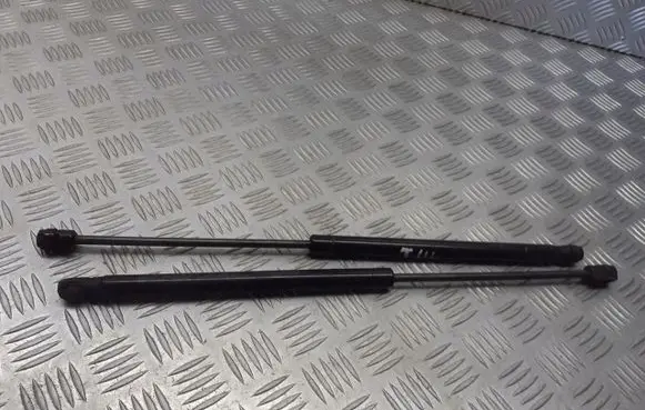 Ford Focus C-MAX Front bonnet/hood damper/strut 3202AB2D