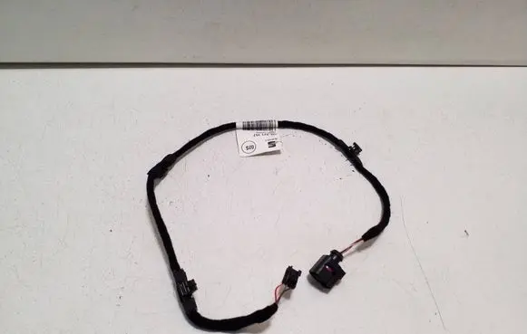 Cupra Born Other wiring loom 10E971157