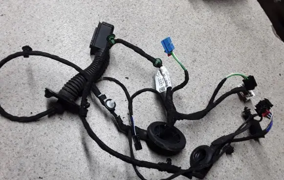 Rear door wiring loom