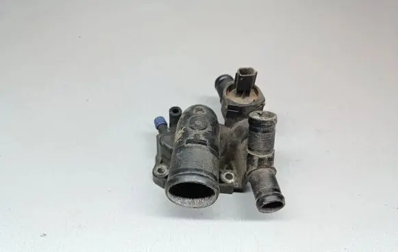 Thermostat/thermostat housing