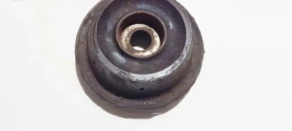 Coil spring mount
