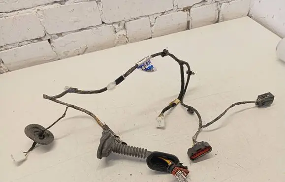 Rear door wiring loom