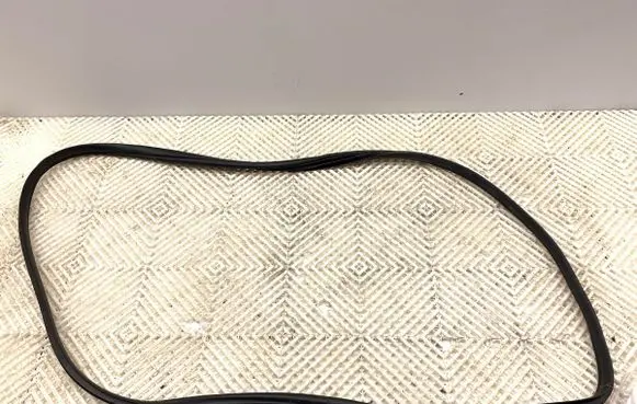 KIA EV6 Rubber seal front door (on door) 