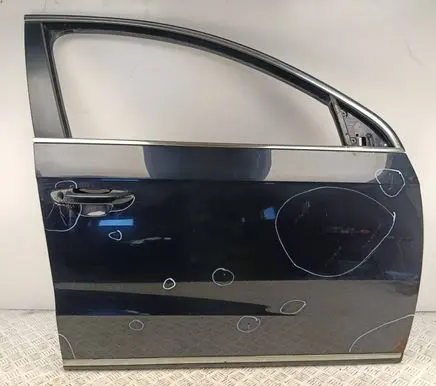 Volkswagen PASSAT B7 Front door 
