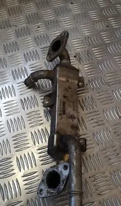 Volkswagen Sharan EGR valve cooler 038131513c