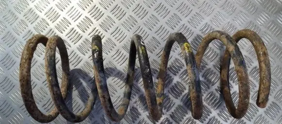 Front coil spring
