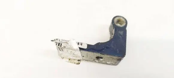 Fiat Punto (188) Rear door lower hinge