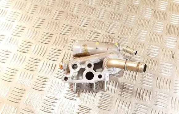 Thermostat/thermostat housing