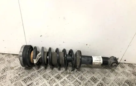 BMW X3 F25 Rear shock absorber/damper 6796317