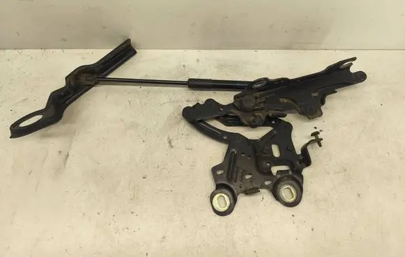 BMW X1 F48 F49 Engine bonnet/hood hinges 7329441 7355991