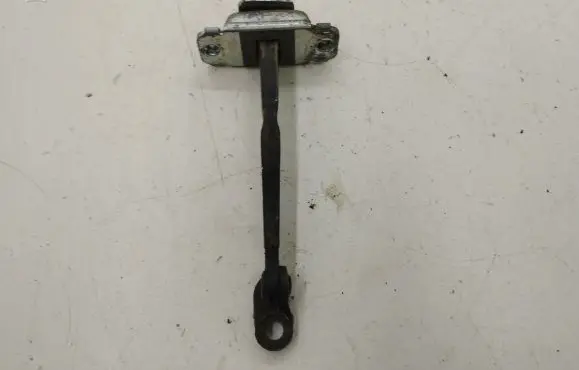 Rear door check strap stopper