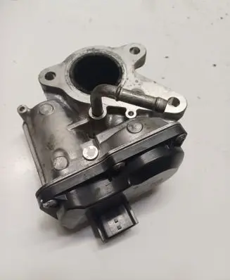 EGR valve