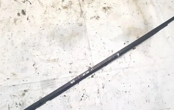 Volkswagen PASSAT B5 Front door glass trim molding 