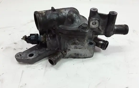 Thermostat/thermostat housing